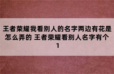 王者荣耀我看别人的名字两边有花是怎么弄的 王者荣耀看别人名字有个1